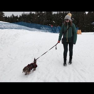 Meet your Posher, Polly